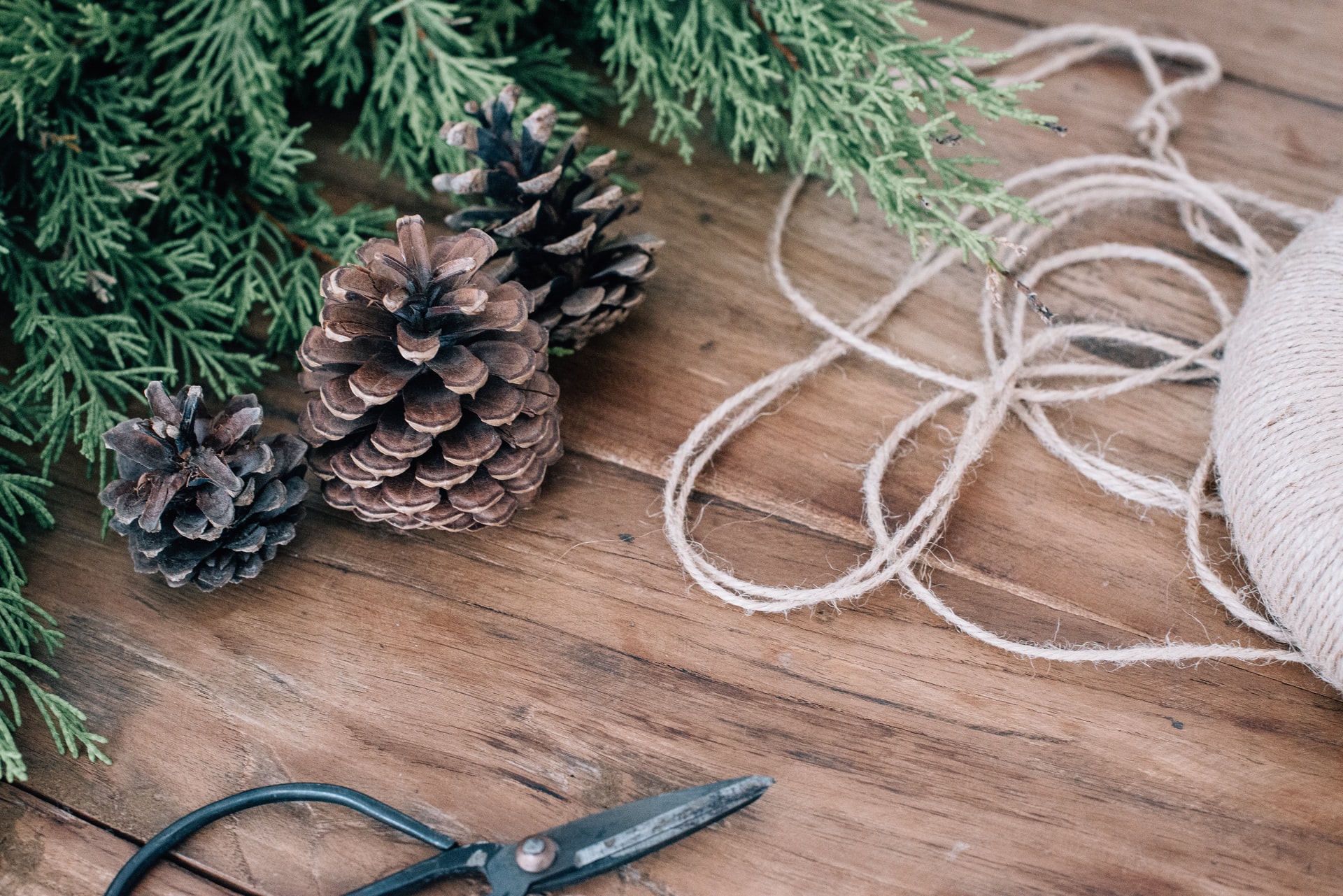 Unconventional Holiday Decor You Can DIY at Your Luxury Apartment in DC Today